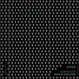 Dubfreezer cover