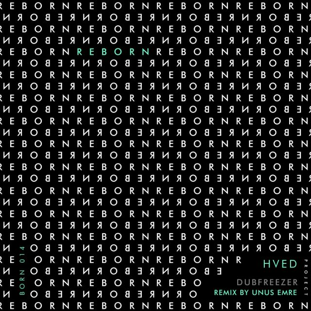 Dubfreezer cover