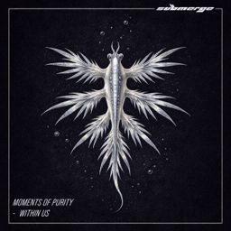 Moments of Purity cover