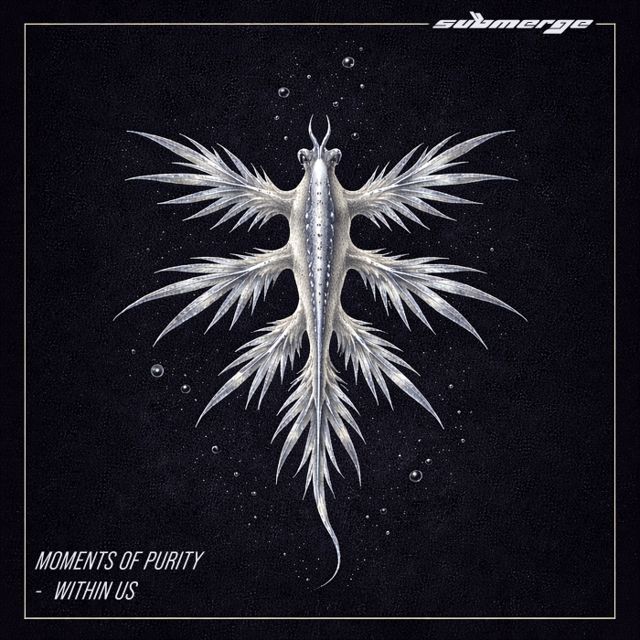 Moments of Purity cover