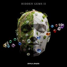 Hidden Gems 2 cover