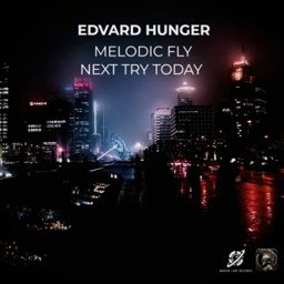 Melodic Fly cover