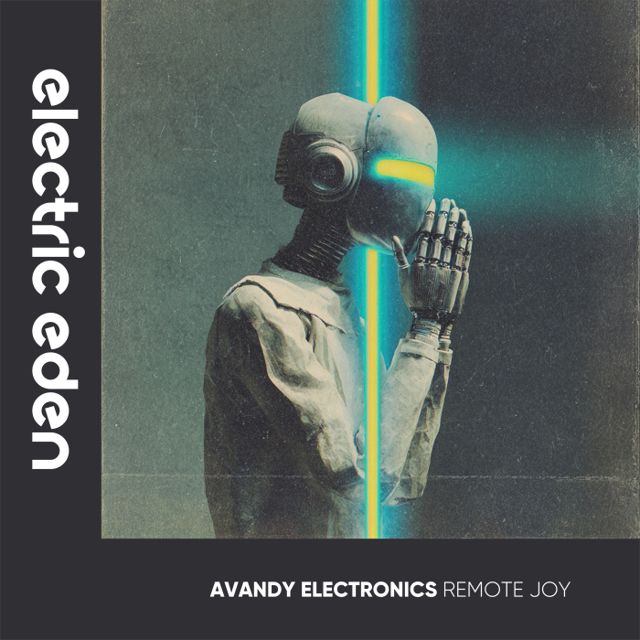 Remote Joy cover