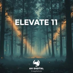 Elevate 11 cover