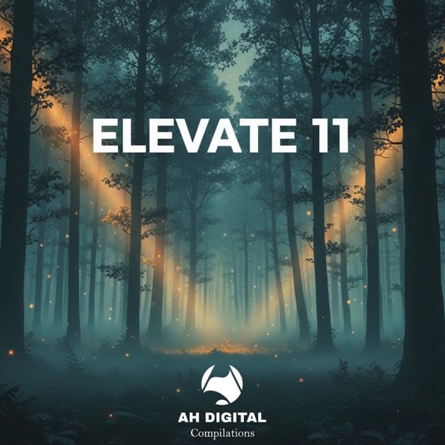 Elevate 11 cover