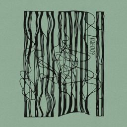 Kajdanka cover