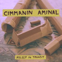 Asleep in Transit cover