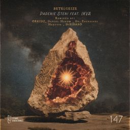 Padenie Steni cover