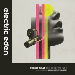 The Perfect Gift cover