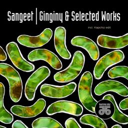 Ginginy & Selected Worx cover