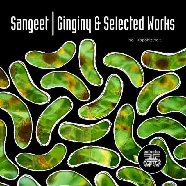 Ginginy & Selected Worx cover