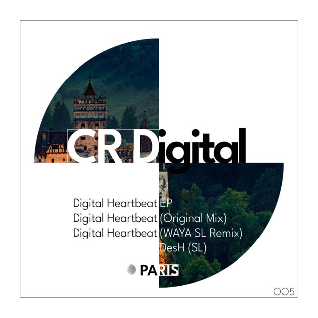 Digital Heartbeat cover