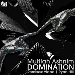 Domination cover