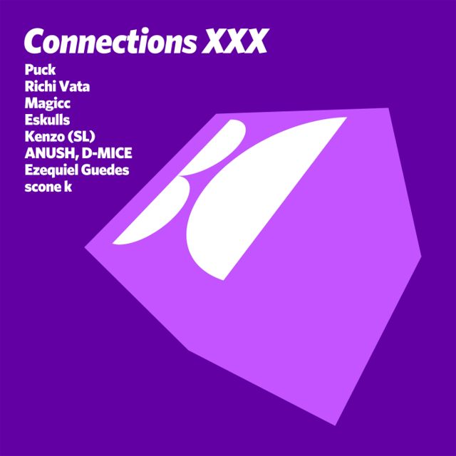 Connections, Vol. XXX cover