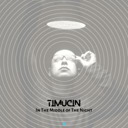 In the Middle of the Night cover