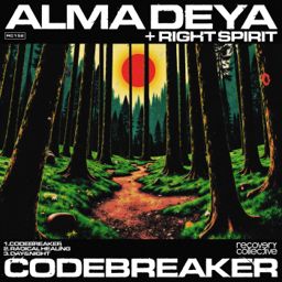 Codebreaker cover