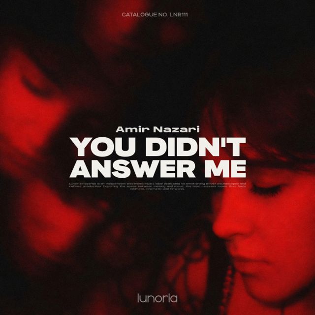 You Didn't Answer Me cover