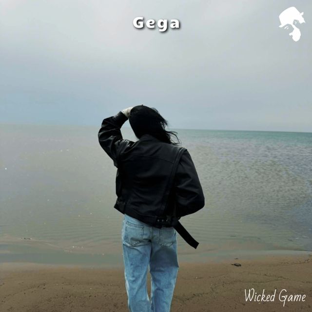 Wicked Game cover