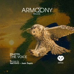 The Voice cover