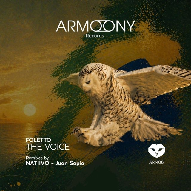 The Voice cover