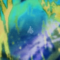 DVRST 5th Year Anniversary Vol.II cover