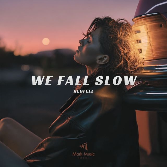 We Fall Slow cover