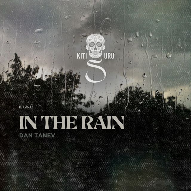 In the Rain cover