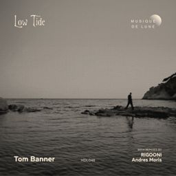 Low Tide cover