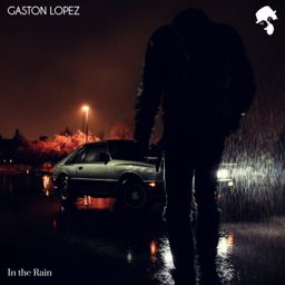 In the Rain cover