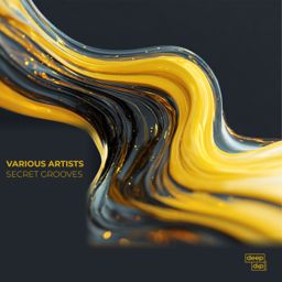 Secret Grooves cover