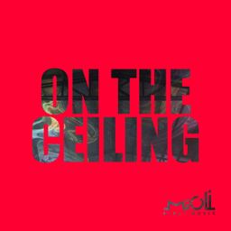 On the Ceiling cover