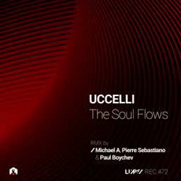 The Soul Flows cover