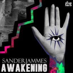 Awakening cover