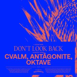 Don't Look Back cover