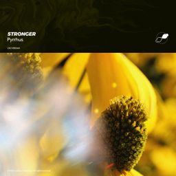 Stronger cover