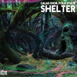 Shelter cover