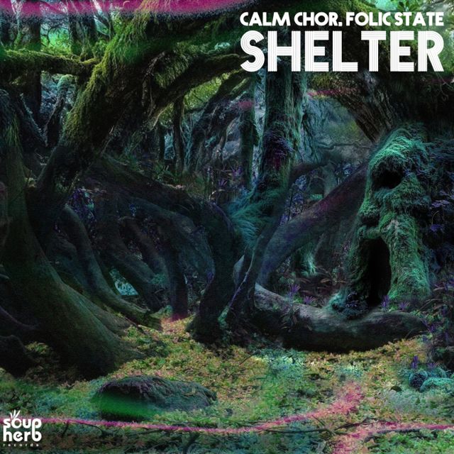Shelter cover