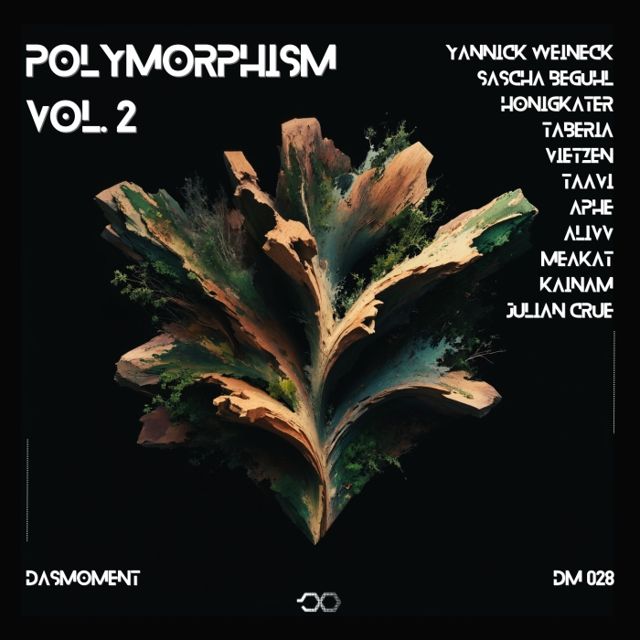 Polymorphism, Vol. 2 cover