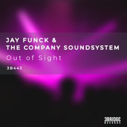Out of Sight cover