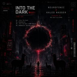Into the Dark cover