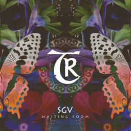Waiting Room cover