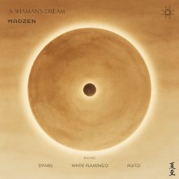A Shaman's Dream cover