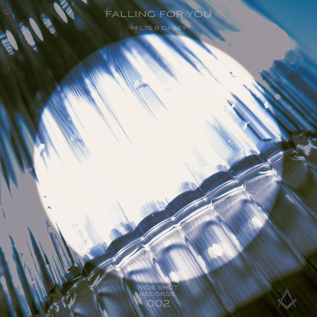 Falling for You (Original Mix) cover