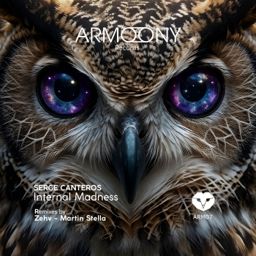 Internal Madness cover