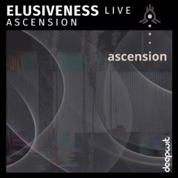 Elusiveness cover