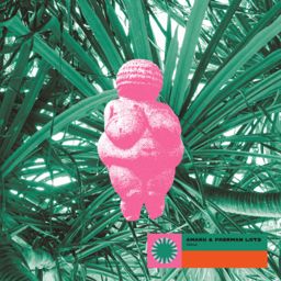 Venus cover