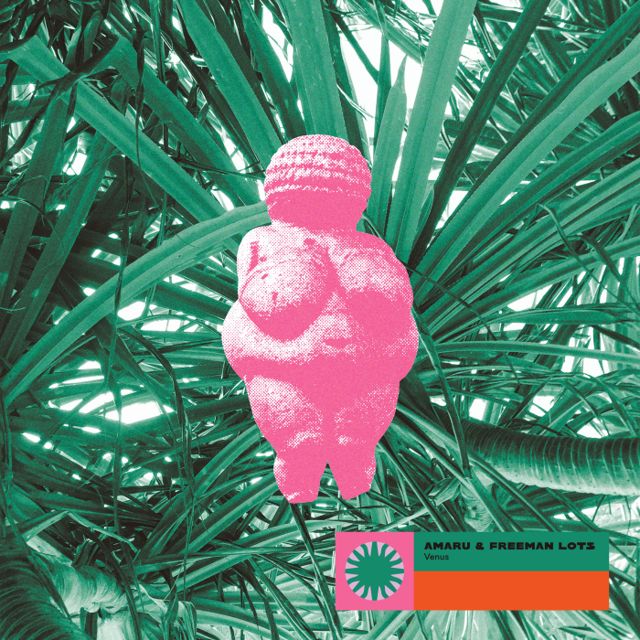 Venus cover