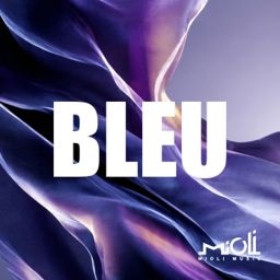 Bleu cover