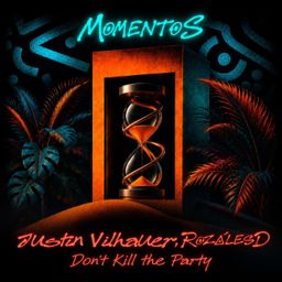Don't Kill the Party cover
