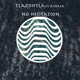 No Hesitation cover